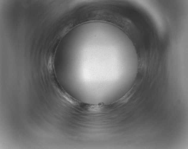 X0000062170142200512231636