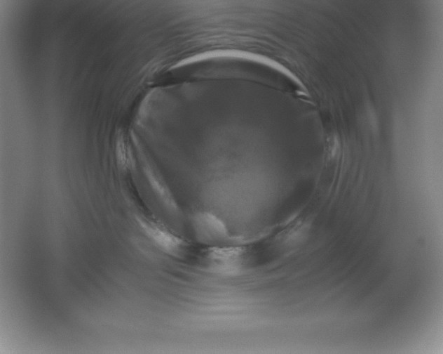 X0000062170143200512231636