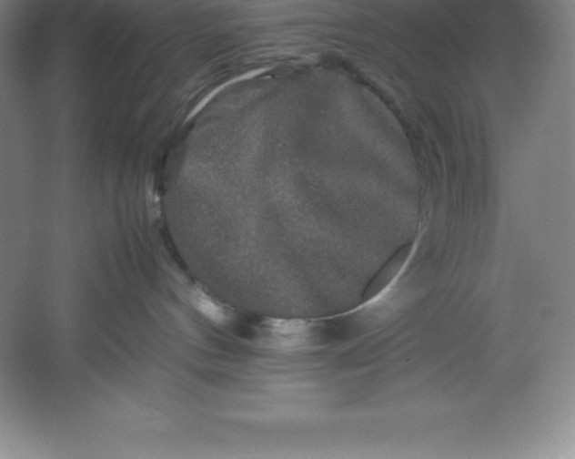 X0000062170144200512231636