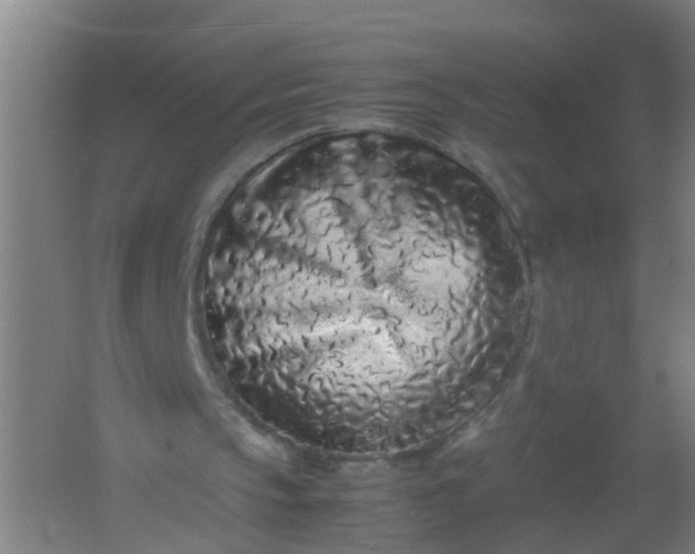 X0000062170145200512231635