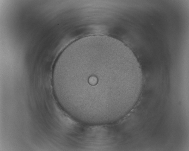 X0000062170146200512231635