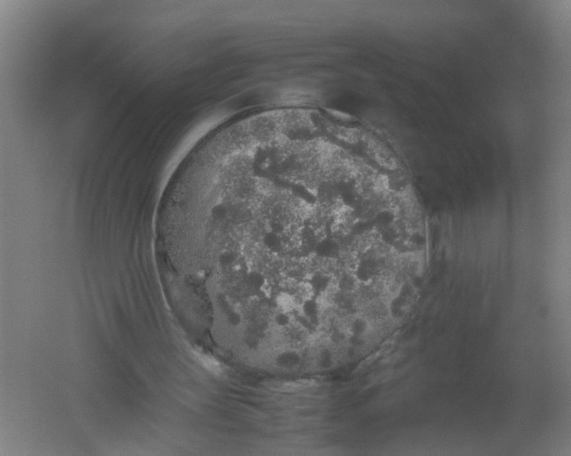 X0000062170147200512231635