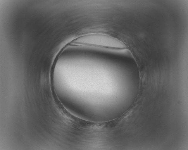 X0000062170148200512231635