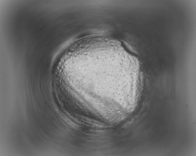 X0000062170149200512231635