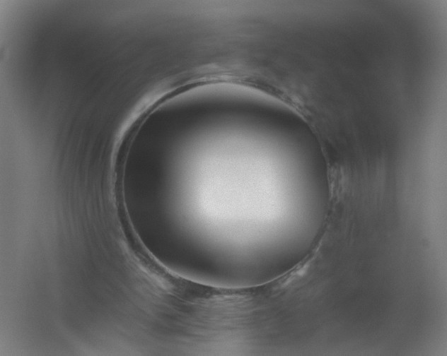 X0000062170150200512231635