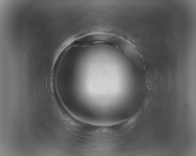 X0000062170152200512231635