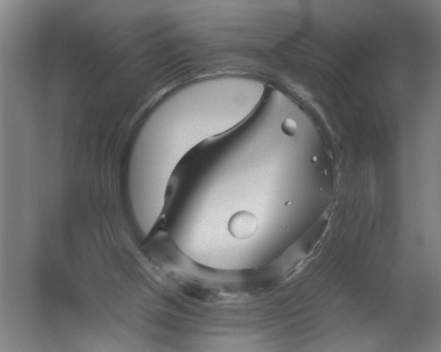 X0000062170154200512231635