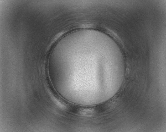 X0000062170155200512231635