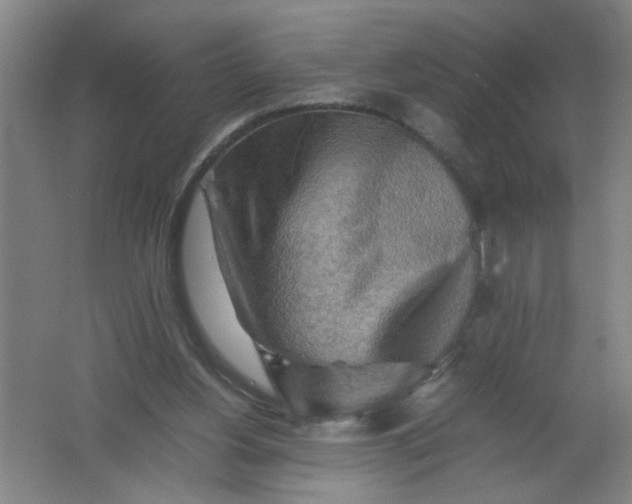 X0000062170156200512231635