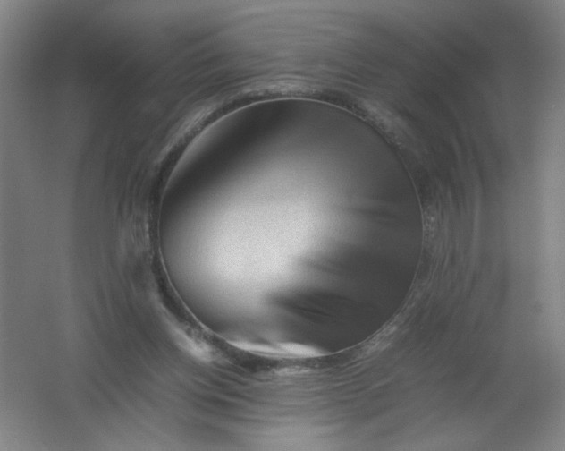 X0000062170158200512231635