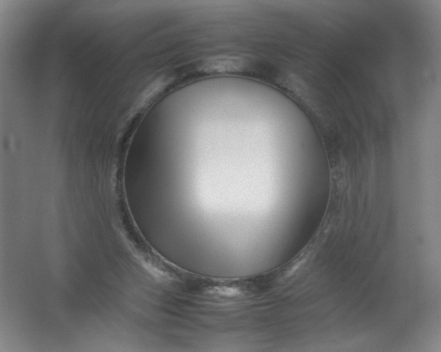 X0000062170159200512231635