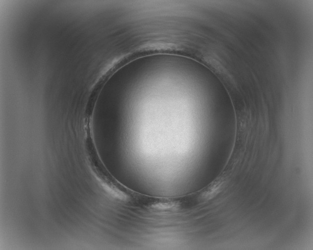 X0000062170160200512231635