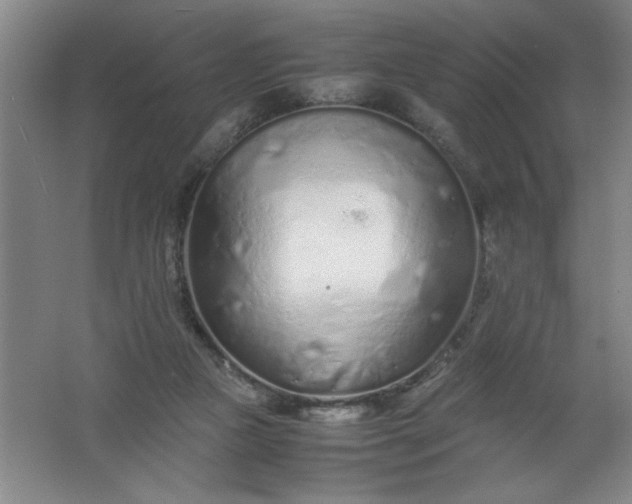 X0000062170161200512231635