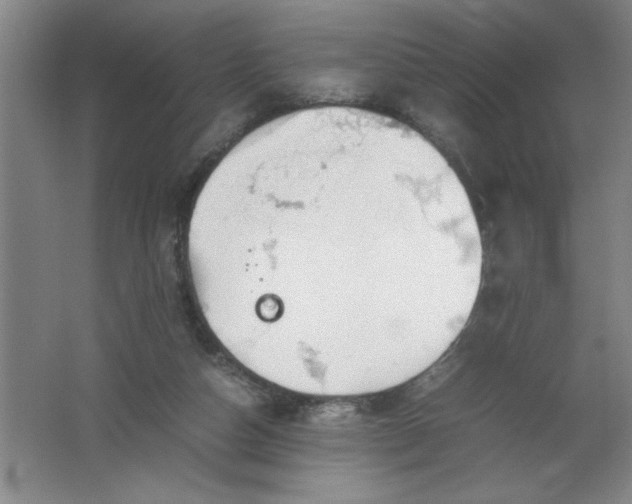 X0000062170162200512231636