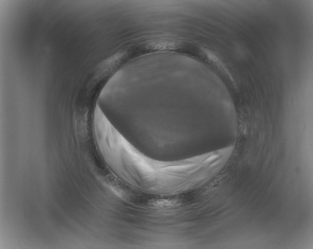 X0000062170163200512231636