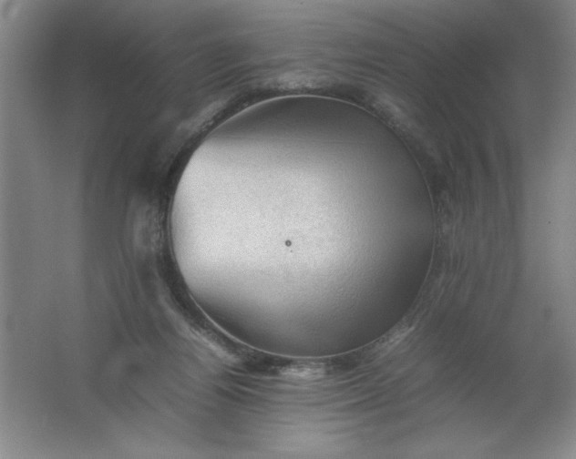 X0000062170164200512231636