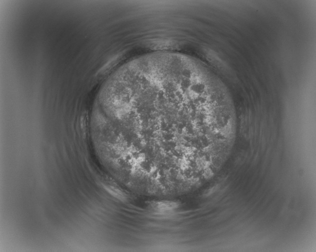 X0000062170165200512231636