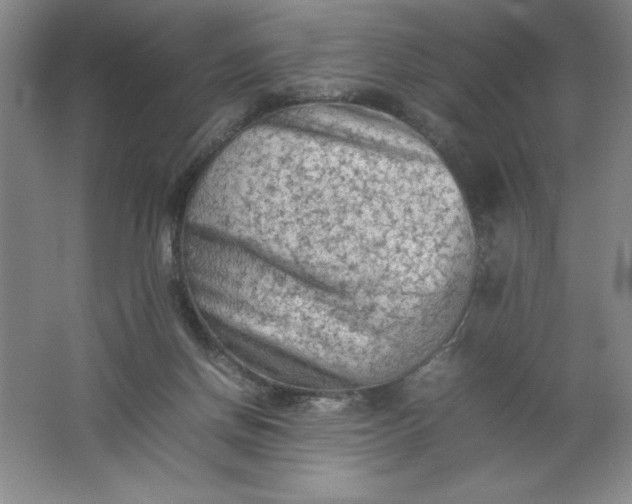 X0000062170166200512231636