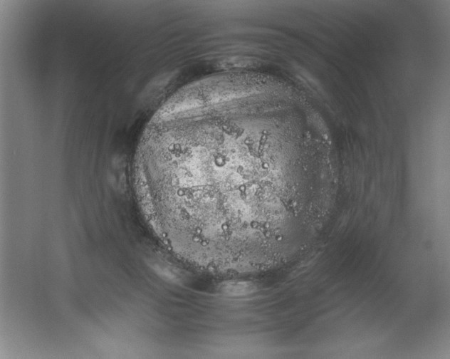 X0000062170169200512231636