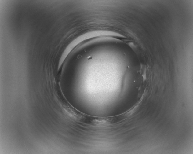 X0000062170170200512231636