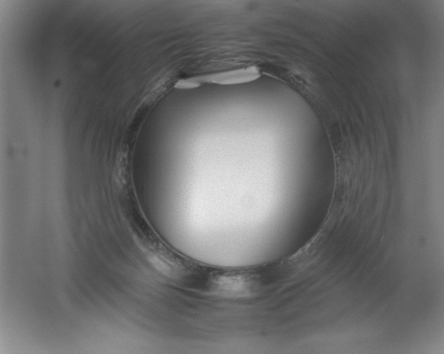 X0000062170171200512231636