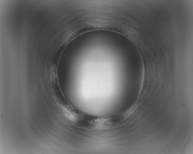 X0000062170172200512231636