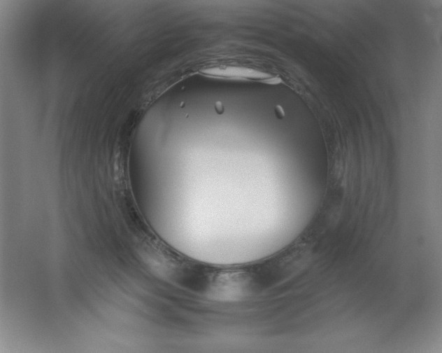 X0000062170173200512231636