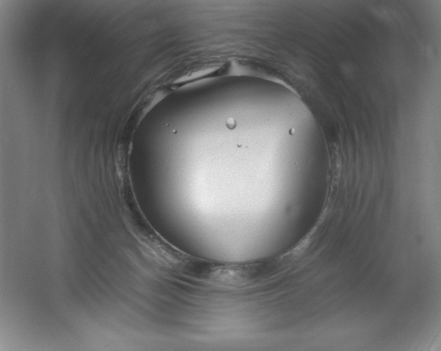 X0000062170174200512231636