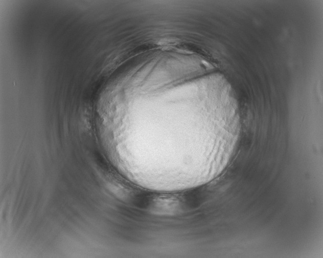 X0000062170175200512231636