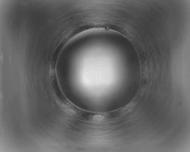 X0000062170176200512231636