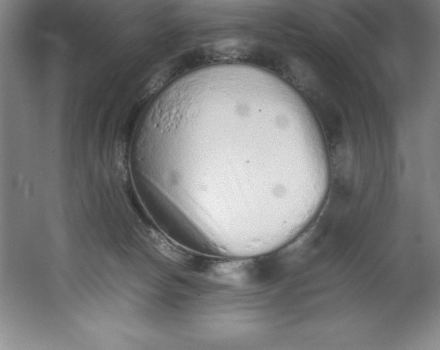 X0000062170178200512231636