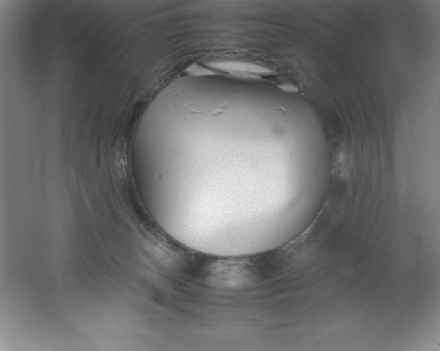 X0000062170179200512231636