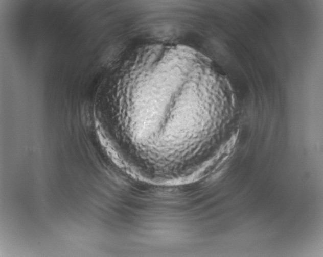 X0000062170182200512231636