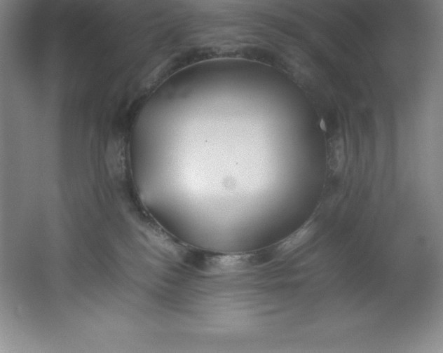 X0000062170184200512231636