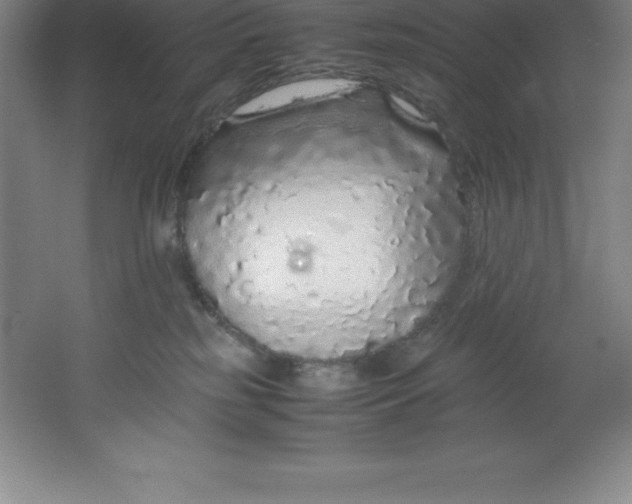 X0000062170185200512231636