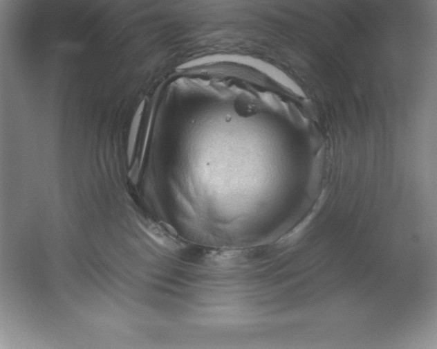 X0000062170186200512231636