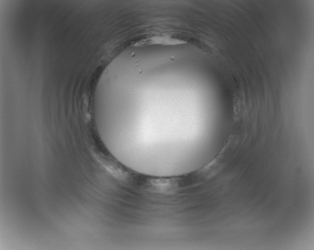 X0000062170187200512231636