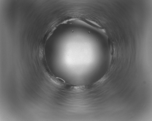 X0000062170188200512231636