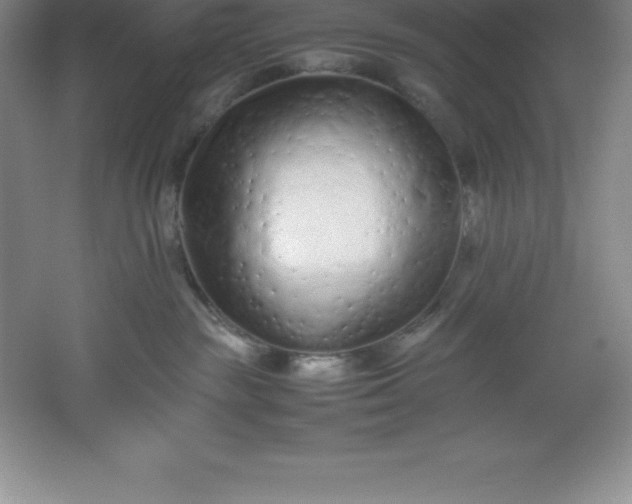 X0000062170189200512231636