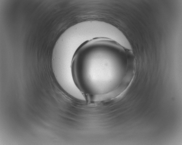 X0000062170190200512231636