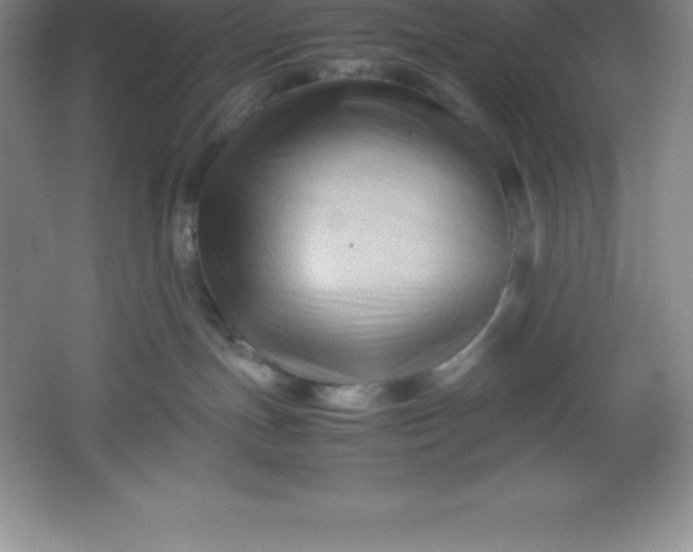 X0000062170191200512231636