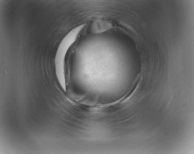 X0000062170192200512231636