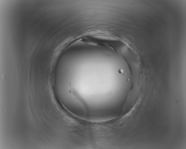 X0000062170193200512231635