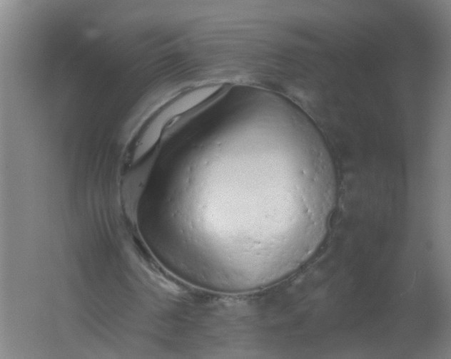 X0000062170194200512231635