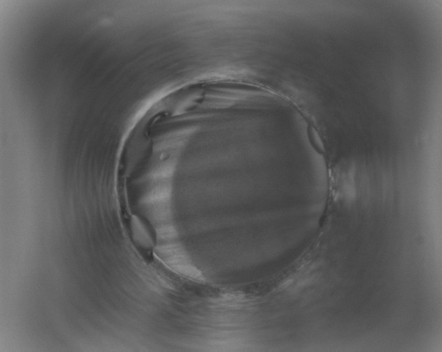 X0000062170196200512231635