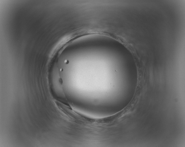 X0000062170197200512231635