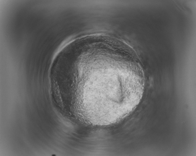 X0000062170198200512231635