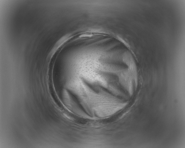 X0000062170199200512231635