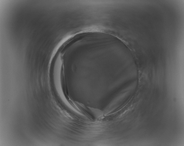 X0000062170200200512231635