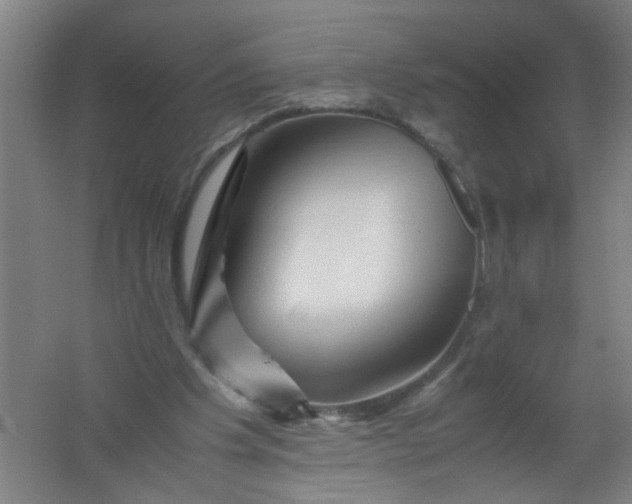 X0000062170201200512231635